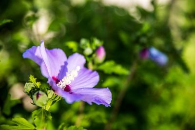 Meilleurs tarifs et conditions en direct